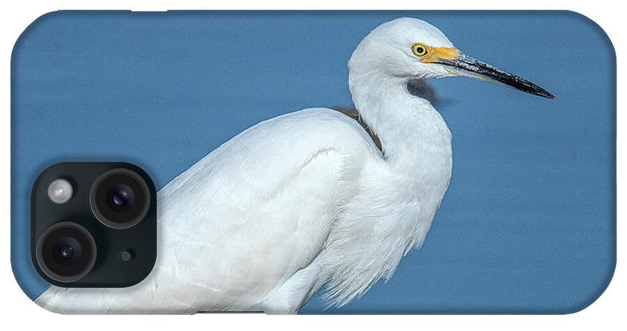 Nature iPhone Case featuring the photograph Snowy Egret DMSB0182 by Gerry Gantt