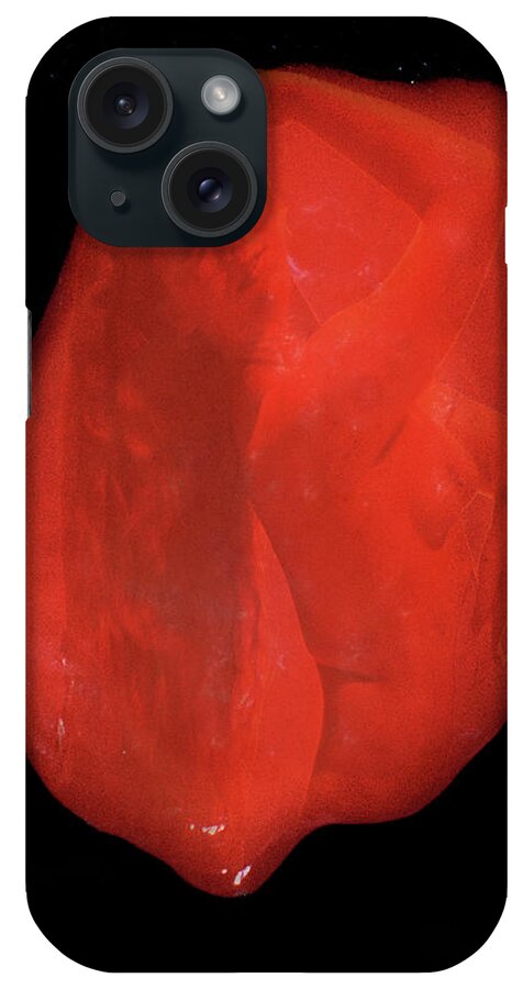 Habenero iPhone Case featuring the photograph So That's Why Habaneros Are Hot by Richard Henne