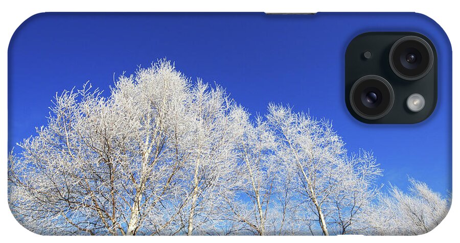 Soft Rime iPhone Case featuring the photograph Soft Rime by Image House/a.collectionrf