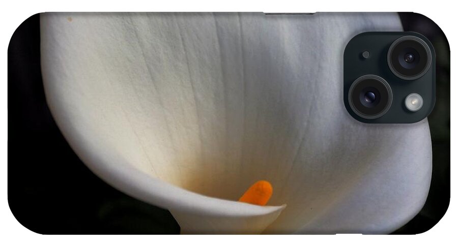 Botanical iPhone Case featuring the photograph Soft White Calla Lily by Richard Thomas