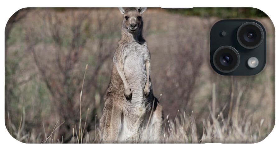 Kangaroo iPhone Case featuring the photograph Solo by Masami IIDA