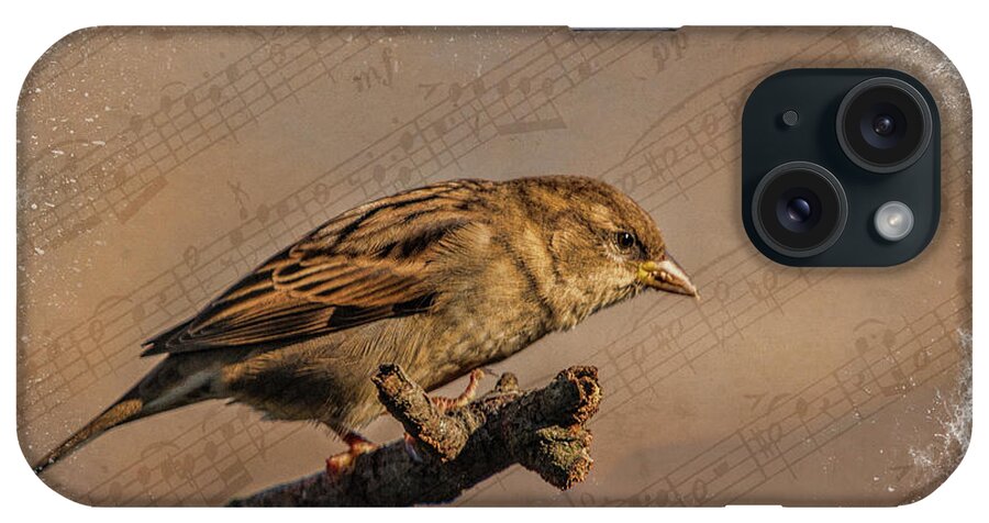 Song iPhone Case featuring the photograph Song Bird by Cathy Kovarik