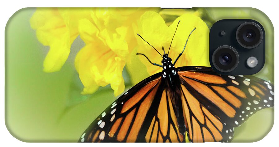 Butterfly iPhone Case featuring the photograph South for the Winter by Leticia Latocki