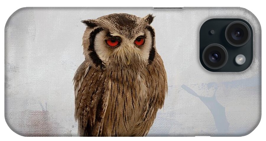 Southern White-faced Scop Owl iPhone Case featuring the photograph Southern White-Faced Scop Owl-2 by Eva Lechner