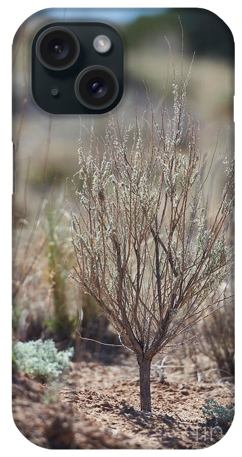 New Mexico Desert iPhone Case featuring the photograph Southwest Desert Ground View by Robert WK Clark