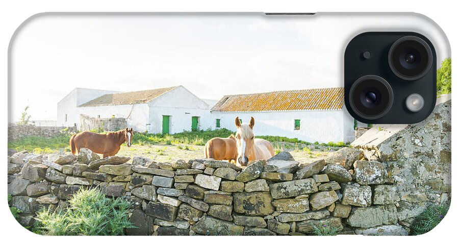 Estock iPhone Case featuring the digital art Spain, Andalusia, Horses by Andrew Lever