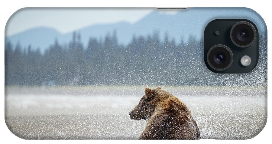 Lake Clark National Park iPhone Case featuring the photograph Splashing Around by Ann Skelton