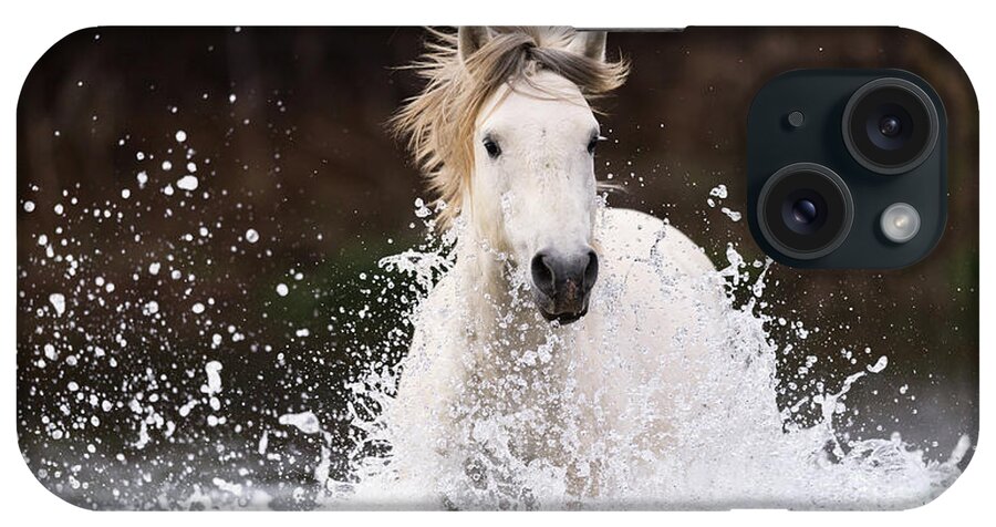 Action iPhone Case featuring the photograph Splashing Horse by Shannon Hastings