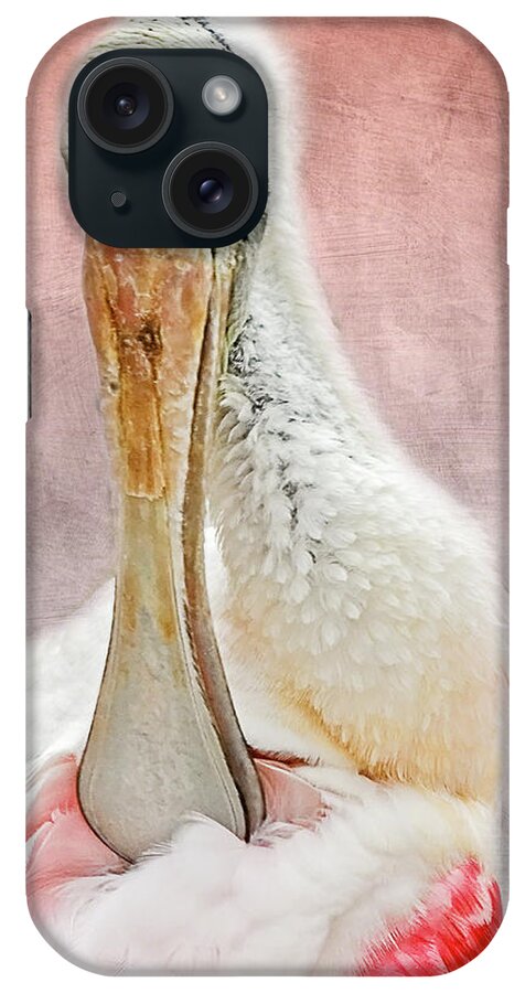 Audubon iPhone Case featuring the photograph Spoonbill Portrait II by Dawn Currie