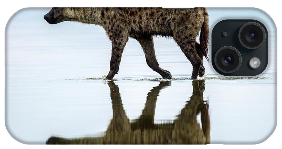 Kenya iPhone Case featuring the photograph Spotted Hyena Looking For Weak Flamingos by Manoj Shah