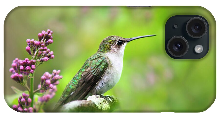 Hummingbird iPhone Case featuring the photograph Spring Beauty Ruby Throat Hummingbird by Christina Rollo