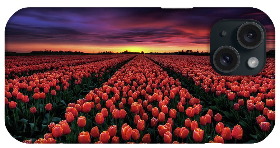 Landscape iPhone Case featuring the photograph Spring blossoms by Jorge Maia