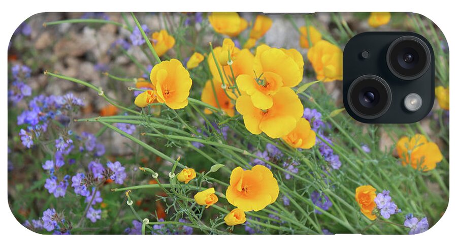 Desert Flowers iPhone Case featuring the photograph Spring Desert Flowers by David T Wilkinson