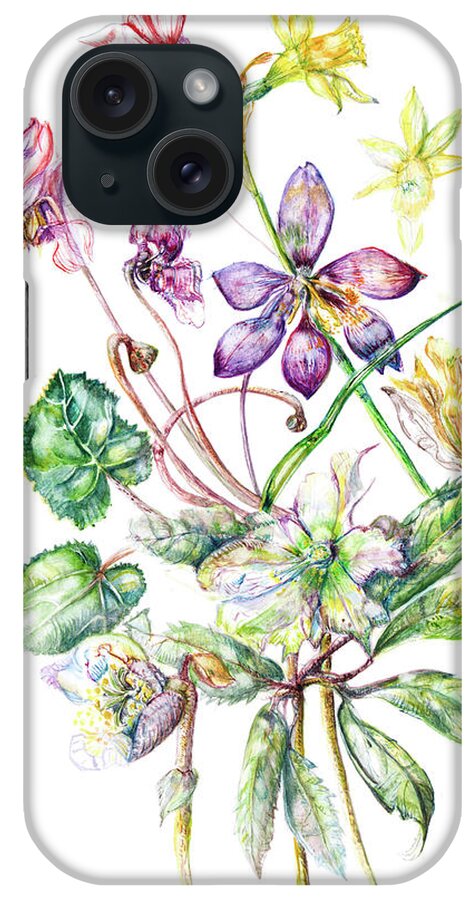 Daffodils iPhone Case featuring the painting Spring flowers, cyclamen, Hellebore, daffodils by Gloria Newlan