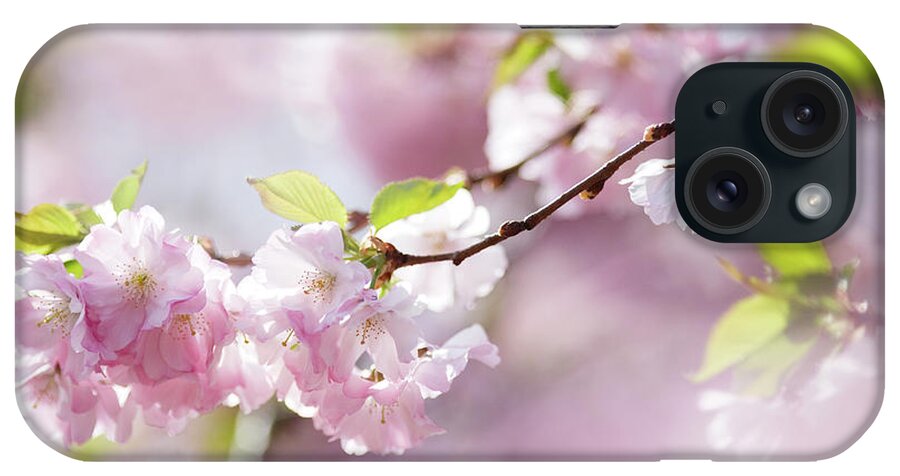 People iPhone Case featuring the photograph Spring by Goldhafen