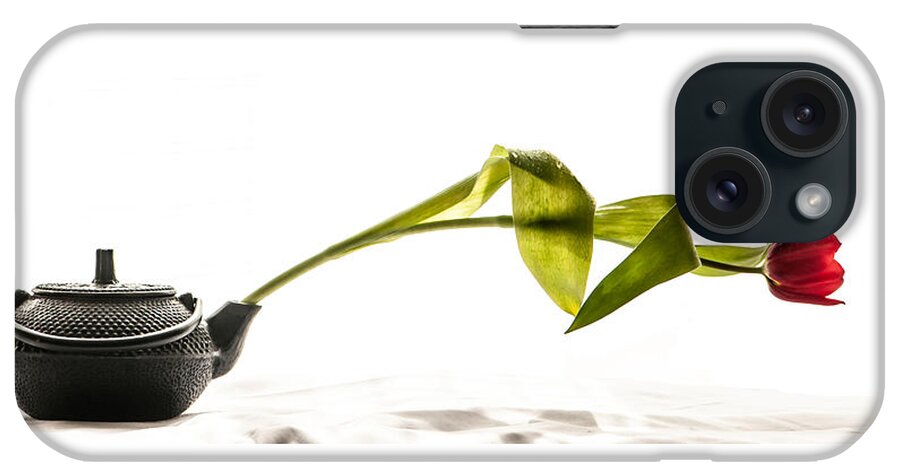 Spring iPhone Case featuring the photograph Spring in Balance by Maggie Terlecki