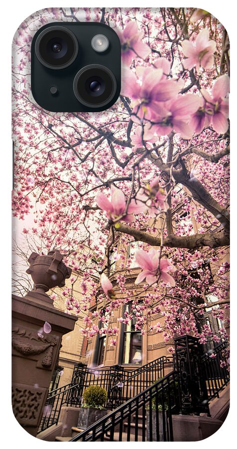 Magnolia Tree iPhone Case featuring the photograph Spring in Boston - Magnolia Tree by Joann Vitali