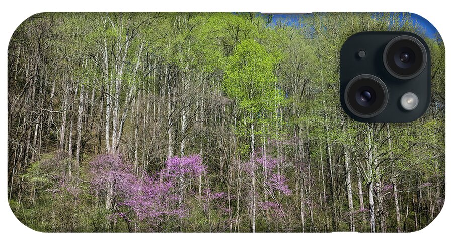 Spring In Great Smoky Mountains National Park iPhone Case featuring the photograph Spring In Great Smoky Mountains National Park 2 by Felix Lai