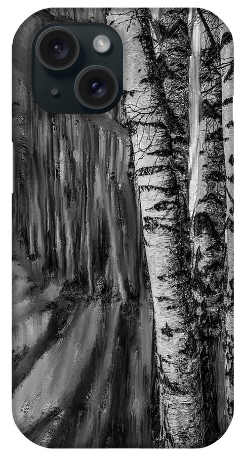Springtime Light iPhone Case featuring the mixed media springtime ligh BW #i6 by Leif Sohlman