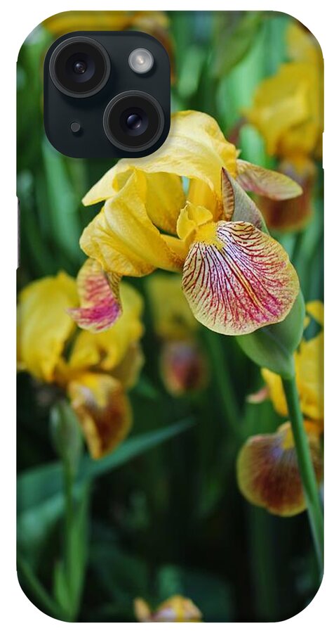 Iris iPhone Case featuring the photograph Springtime Sway by Michiale Schneider