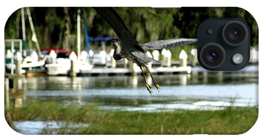 Square iPhone Case featuring the photograph Square Magnificent Wing Span of a Great Blue Heron by Philip And Robbie Bracco