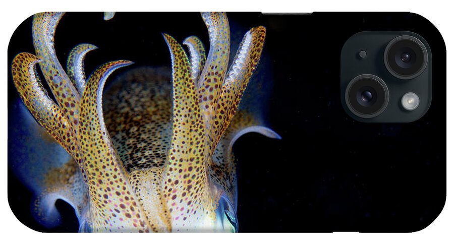 Underwater iPhone Case featuring the photograph Squid At Night by Nature, Underwater And Art Photos. Www.narchuk.com