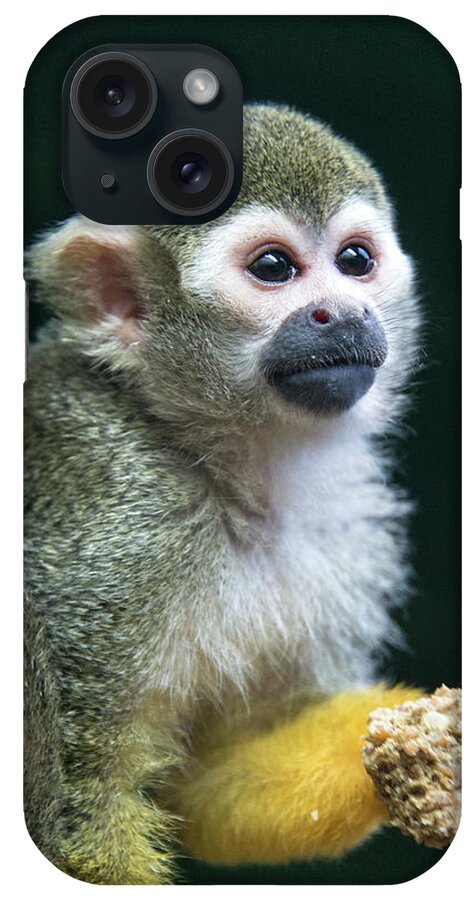 One Animal iPhone Case featuring the photograph Squirrel Monkey by Mark Newman