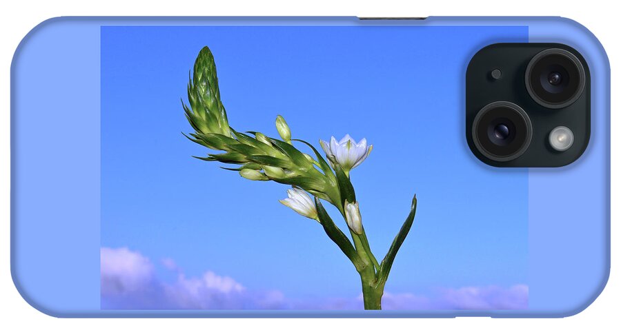  Star Of Bethlehem iPhone Case featuring the photograph Star Of Bethlehem. by Terence Davis
