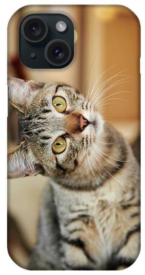 Pets iPhone Case featuring the photograph Staring Match by Akimasa Harada