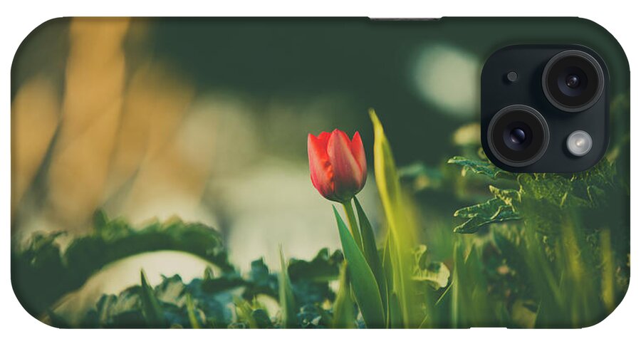 Different iPhone Case featuring the photograph Start of Spring by Dheeraj Mutha