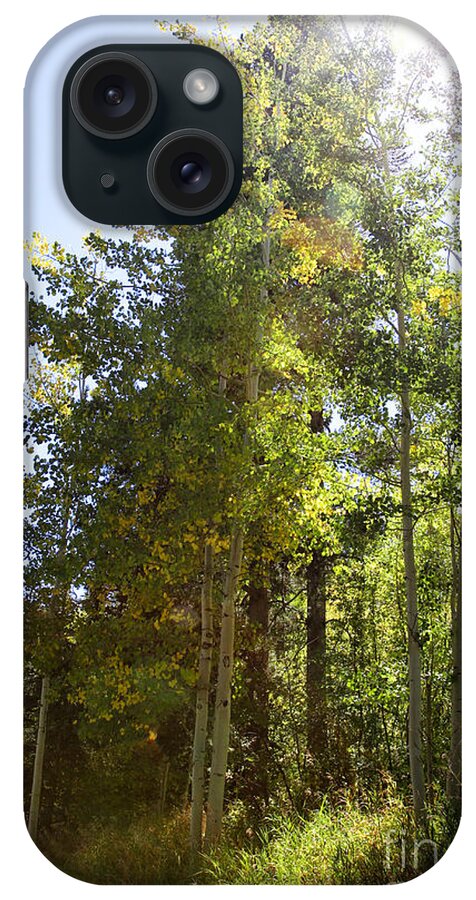 Nature iPhone Case featuring the photograph Starting The Change by Lincoln Rogers