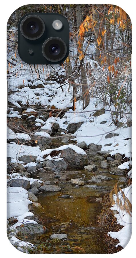 Idyllwild iPhone Case featuring the photograph Strawberry Creek In Winter - Idyllwild by Glenn McCarthy Art and Photography