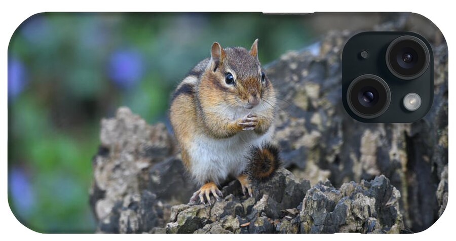 Chipmunk iPhone Case featuring the photograph Stumped by Sonja Jones