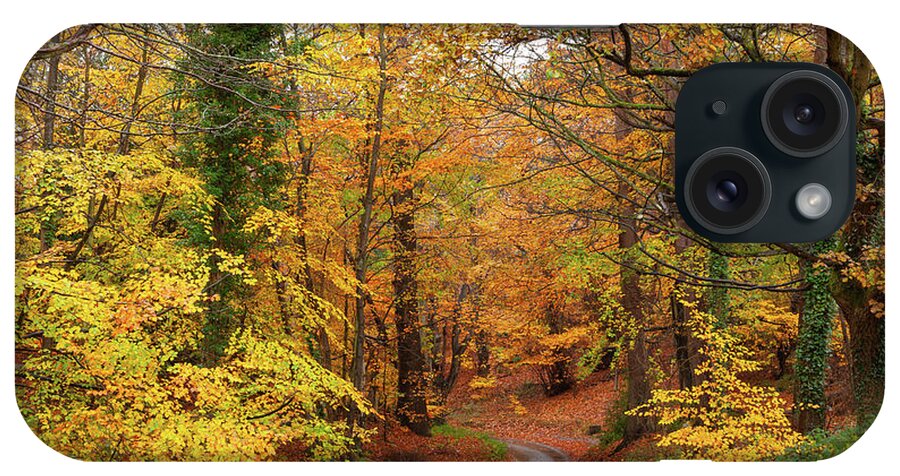 Autumn iPhone Case featuring the photograph Stunning English autumn forest colours with path by Simon Bratt