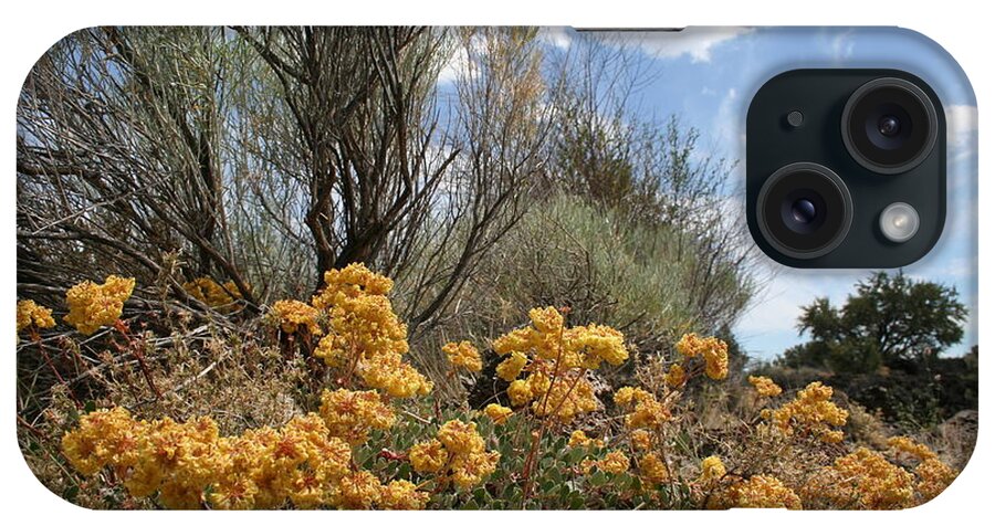 Sulphur Brush iPhone Case featuring the photograph Sulphur Brush by Dylan Punke