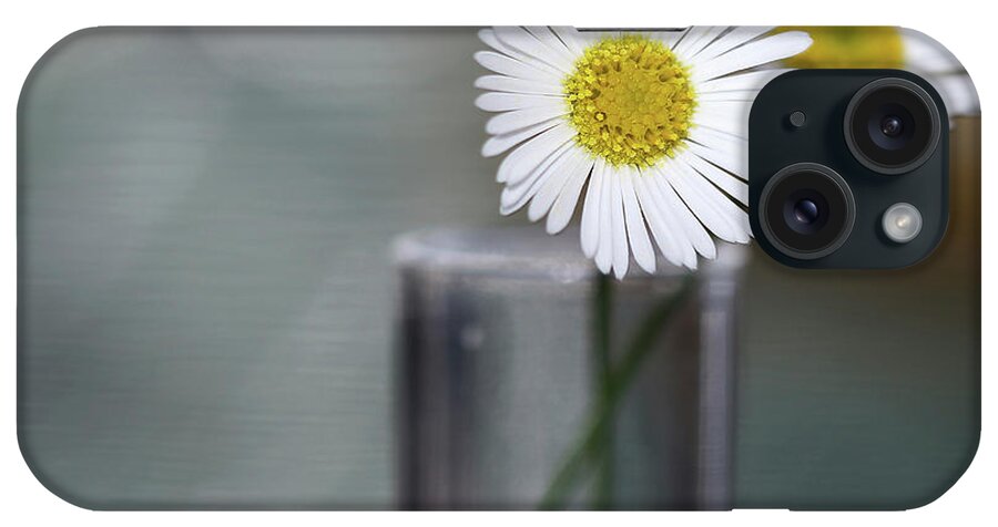 Summer Daisies iPhone Case featuring the photograph Summer Daisies by Incredi