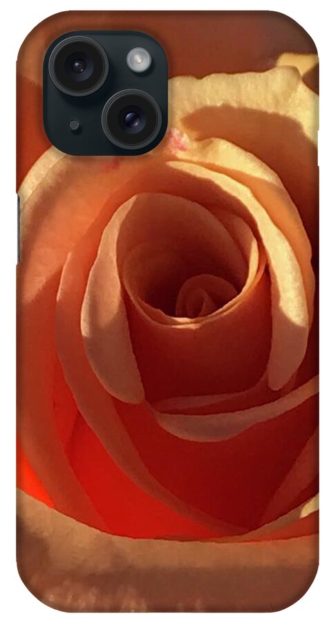 Rose iPhone Case featuring the photograph Summer Glow by Tiesa Wesen