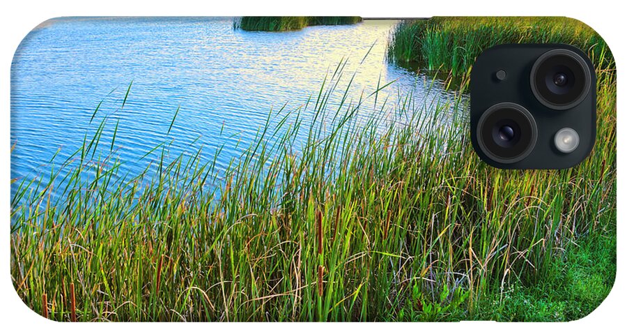 Water's Edge iPhone Case featuring the photograph Summer Lake And Cattails by Dszc