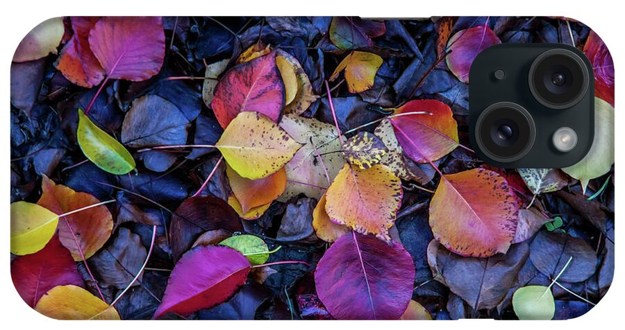 Autumn Leaves iPhone Case featuring the photograph Summer Leaves by Az Jackson