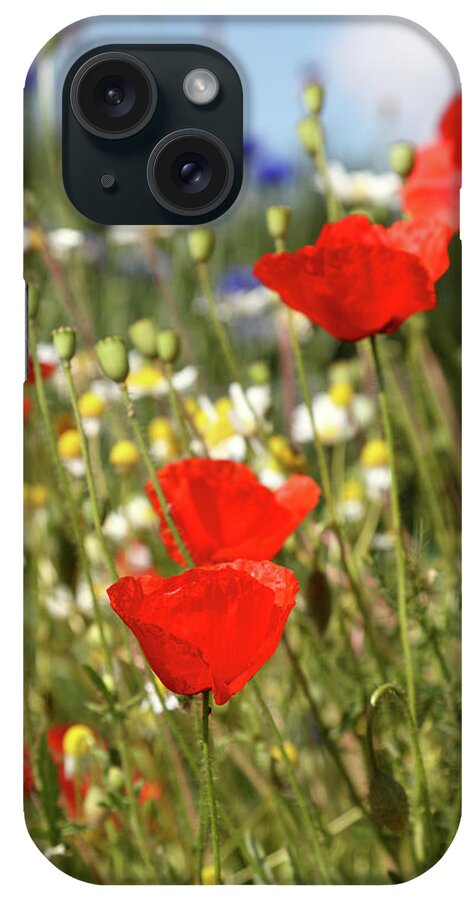 Flowerbed iPhone Case featuring the photograph Summer Meadow With Poppy Cornflower by Schmitzolaf
