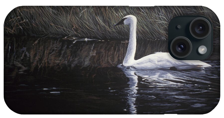 A Mute Swan Glides Through The Water. iPhone Case featuring the painting Summer River by Ron Parker