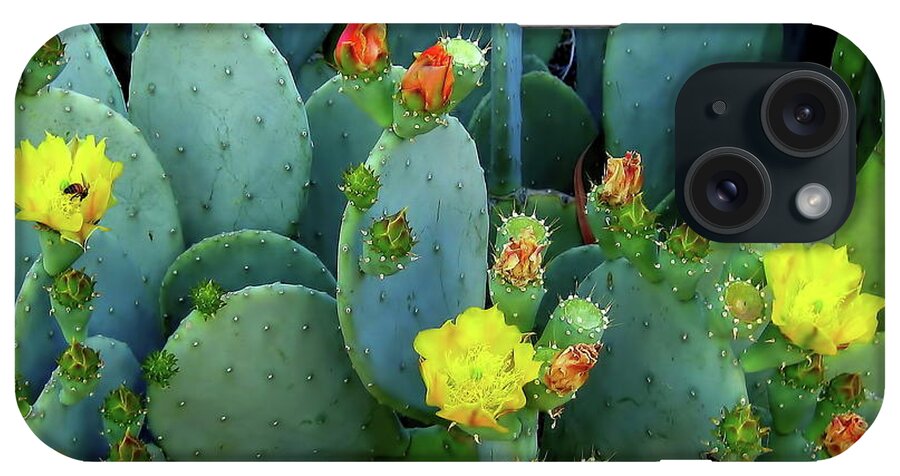 Cactus iPhone Case featuring the photograph Summer Solstice by Kathy Bassett