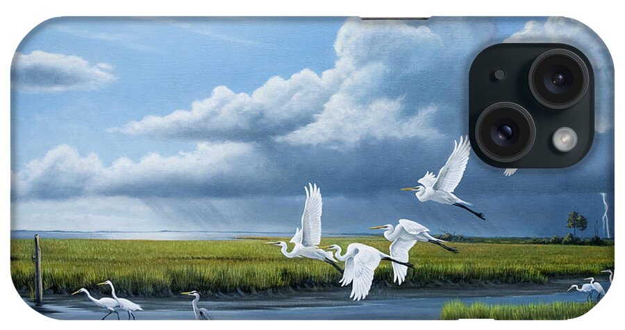 Summer Storm Egrets iPhone Case featuring the painting Summer Storm Egrets by Wilhelm Goebel