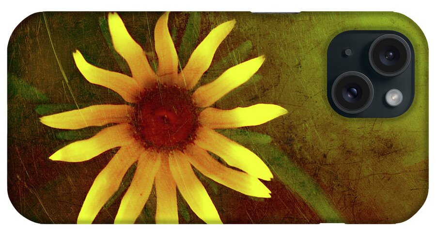Summer Textures iPhone Case featuring the photograph Summer Textures by Linda Sannuti