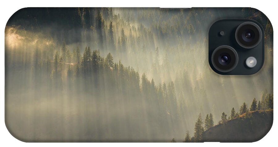 Sunrise iPhone Case featuring the photograph Sun Rays Filtering Through The Trees Magnificent Light by Cavan Images