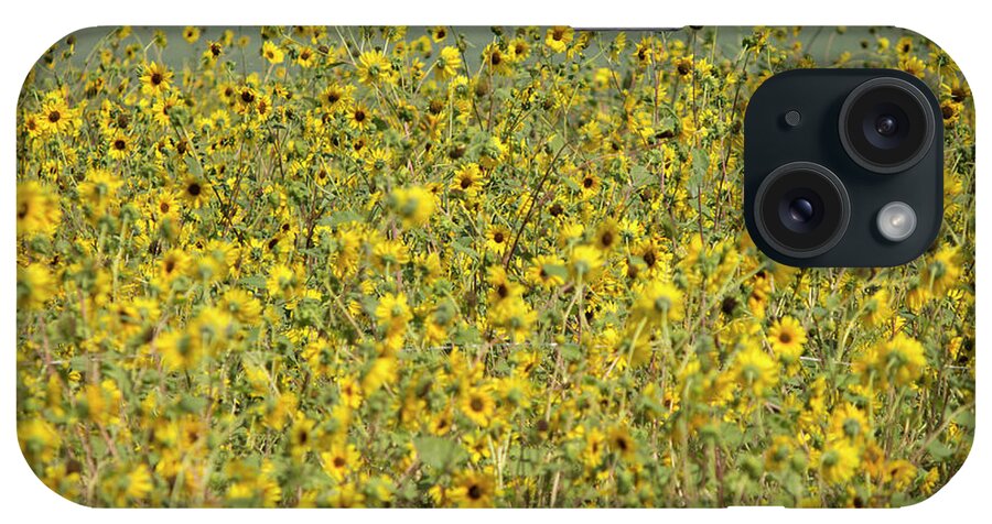 Sunflowers iPhone Case featuring the photograph Sunflower Explosion by Jonathan Thompson