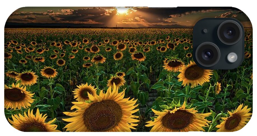 Scenics iPhone Case featuring the photograph Sunflowers Forever by Mike Berenson / Colorado Captures