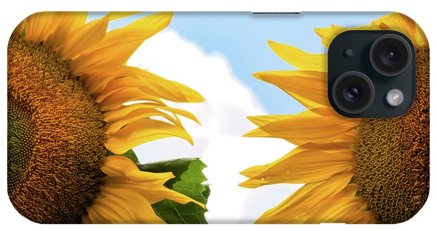 Animal Themes iPhone Case featuring the photograph Sunflowers by Rudolf Vlcek