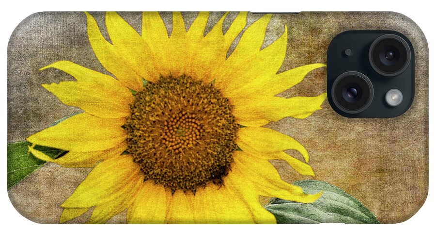 Sunflower iPhone Case featuring the photograph Sunflower-sunny Br by Judy Wolinsky
