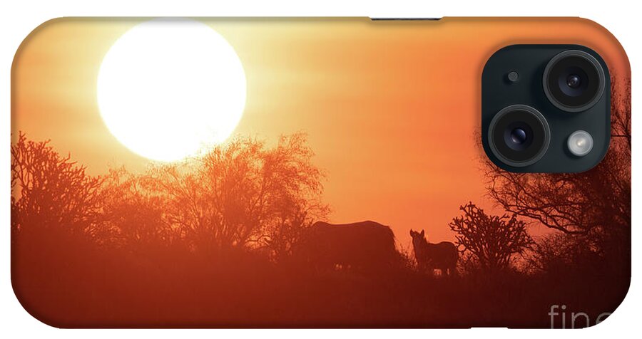 Foal iPhone Case featuring the photograph Sunrise by Shannon Hastings